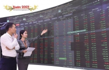 Thị trường chứng khoán 2020 nâng đỡ giấc mơ 'chứng vàng'