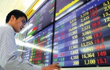 Giới đầu tư kỳ vọng VN-Index tăng điểm trong tuần giao dịch đầu năm Tân Sửu