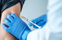 WHO khuyến cáo nhóm người nên tiêm loại vaccine Việt Nam sắp nhập
