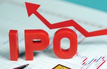 IPO 3,3 triệu cổ phần In báo Nghệ An, dự thu 40 tỷ đồng