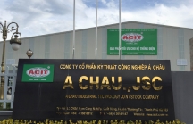 Mua 49% dự án điện Trung Nam Thuận Bắc, ACIT Group là ai?