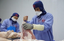 Khuyến cáo doanh nghiệp Việt xuất khẩu lợn sang Campuchia