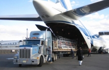 Bác đề xuất thành lập hãng hàng không IPP Air Cargo