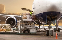 Chính phủ yêu cầu Bộ Giao thông sớm báo cáo về hãng hàng không vận tải IPP Air Cargo