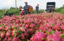 Đặc sản Việt ra mắt chợ mới và cú gây sốt toàn cầu
