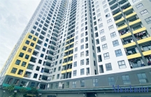 Quý II, thị trường bất động sản TP.HCM và vùng phụ cận có gần 4.000 căn hộ