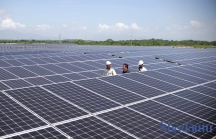 Ninh Thuận khảo sát hàng loạt dự án điện mặt trời, diện tích hàng trăm ha