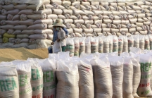 Chính phủ cấp hơn 130.000 tấn gạo hỗ trợ 24 tỉnh, thành phố chống dịch