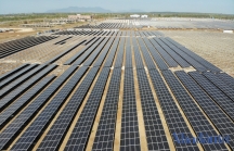 Chủ đầu tư loạt dự án điện mặt trời ở Gia Lai 'dọa' kiện các công ty điện lực