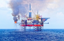 Cổ phiếu dầu khí ‘bùng nổ’, VN-Index tăng hơn 14 điểm