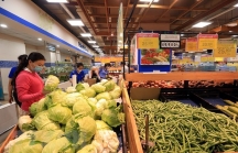 Nông sản Việt xuất khẩu: Bán giá cao ở thị trường thế giới vẫn chỉ là giấc mơ