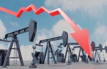 Giá dầu lao dốc 13% - mạnh nhất kể từ tháng 4/2020