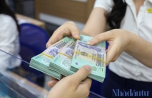 Đằng sau lô trái phiếu 1.700 tỷ của Việt Đức Invest