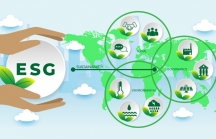 ESG - Yêu cầu bức thiết với doanh nghiệp để tham gia sân chơi quốc tế