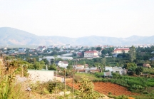 Đề xuất cho Hưng Thịnh - Đèo Cả - Nam Miền Trung khảo sát, lập quy hoạch khu vực 15.000 ha tại Lâm Đồng