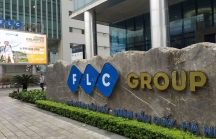 Nhóm cổ phiếu FLC đồng loạt tăng kịch trần