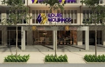 Nhóm Louis Holdings làm ăn thế nào?