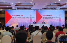 Ông Hồ Hùng Anh: 'Techcombank không liên quan tới các khoản vay của Vạn Thịnh Phát'