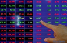 Cổ phiếu Bluechips tiếp tục 'đuối sức', VN-Index giảm hơn 8 điểm