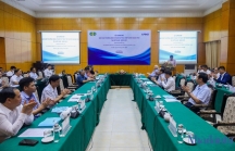 VAFIE công bố 'Báo cáo thường niên về đầu tư trực tiếp nước ngoài tại Việt Nam'