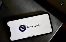 Terra bị cáo buộc rửa tiền 80 triệu USD mỗi tháng