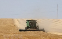 Phản ứng của quốc tế về thỏa thuận xuất khẩu ngũ cốc giữa Nga-Ukraine