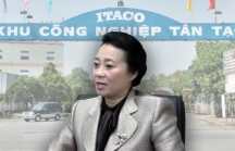 Tân Tạo ghi nhầm 1.300 tỷ tạm ứng cho bà Đặng Thị Hoàng Yến