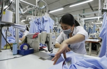 8 tháng, ngành dệt may xuất siêu trên 12 tỷ USD