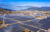 Yêu cầu thực hiện đúng hợp đồng với Nhà máy điện mặt trời Trung Nam Thuận Nam