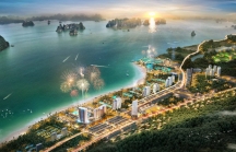 Quảng Ninh huỷ bỏ chủ trương đầu tư phân khu 2 dự án Sonasea Vân Đồn
