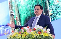 Thủ tướng: Sáng tạo, quyết tâm thu hút nguồn lực cho vùng Đông Nam Bộ