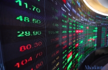 Cổ phiếu ngân hàng tiếp tục hút tiền, VN-Index tăng liền 5 tuần