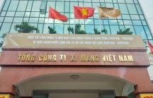 Tổng Công ty xi măng Việt Nam làm ăn thế nào dưới thời ông Bùi Hồng Minh?