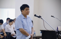 Cựu chủ tịch Hà Nội Nguyễn Đức Chung tiếp tục bị khởi tố vụ nâng khống giá cây xanh