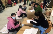 Hải Phòng điều tra vụ táo đỏ Trung Quốc được đóng gói giả xuất xứ Hàn Quốc