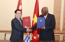 Việt Nam - Cuba ủng hộ các chính sách hỗ trợ doanh nghiệp tăng cường đầu tư vào lĩnh vực phù hợp