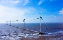 Quy hoạch điện VIII: Cơ hội mới cho điện gió ngoài khơi