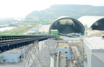 EVN xin giãn nợ tiền mua than để duy trì sản xuất điện