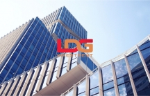 LDG tổ chức AGM lần 2 bất thành, ‘Shark’ Louis Nguyễn muốn rút khỏi HĐQT