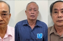 Liên doanh 'sang tay' đất công cho tư nhân, 3 cựu lãnh đạo Vinafood II bị bắt
