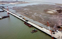 Đẩy nhanh tiến độ dự án bến container tại cảng Lạch Huyện
