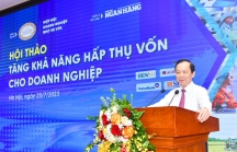 Hai 'cơn gió ngược' và hai 'vòng gió xoáy' của kinh tế Việt Nam