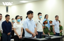 Ông Nguyễn Đức Chung bị đề nghị 2-3 năm tù vụ nâng khống giá cây xanh