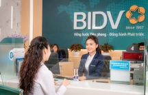 BIDV dành 4.200 tỷ đồng tín dụng xanh cho doanh nghiệp dệt may