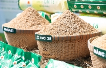 Lộc Trời đảm bảo cung ứng 2 triệu tấn gạo mỗi năm từ 2024