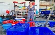 Quảng Nam công bố mức giá nước sinh hoạt mới