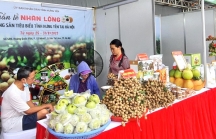 Hà Nội ưu tiên giới thiệu sản phẩm có tiềm năng xuất khẩu tại chương trình 'Tự hào nông sản Việt'