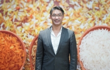 Cựu Phó Thủ tướng Đức gốc Việt: Giá gạo tăng mở ra cơ hội lớn cho ngành lúa gạo của Việt Nam