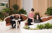 Tòa nhà hội sở Techcombank được trao chứng nhận 'Năng lượng xanh 5 sao': Khẳng định vị thế nơi làm việc tốt nhất châu Á