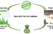 [Café cuối tuần] Tín chỉ carbon: Cơ hội hay thách thức cho kinh tế Việt Nam?
